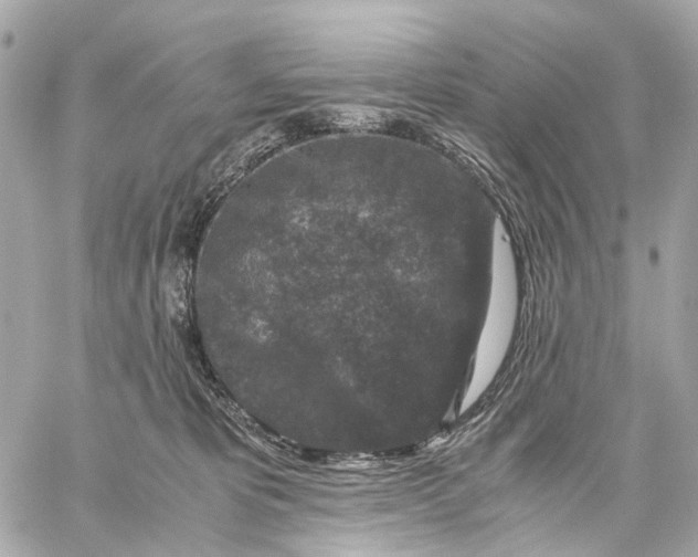 X0000059250325200511041340