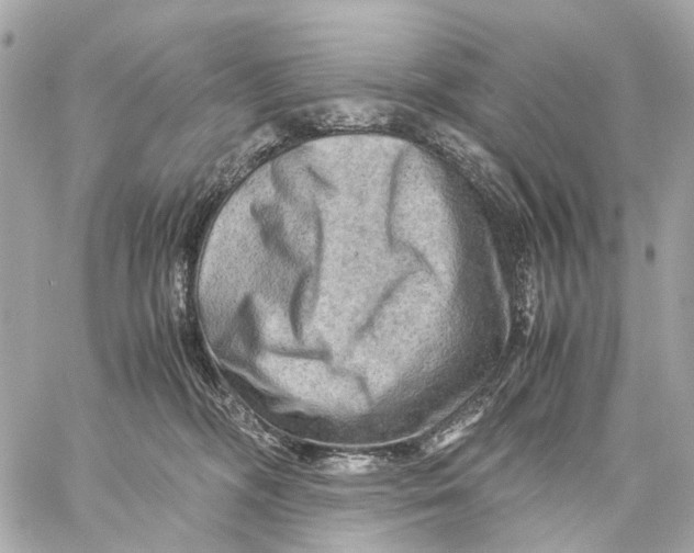 X0000059250326200511041340