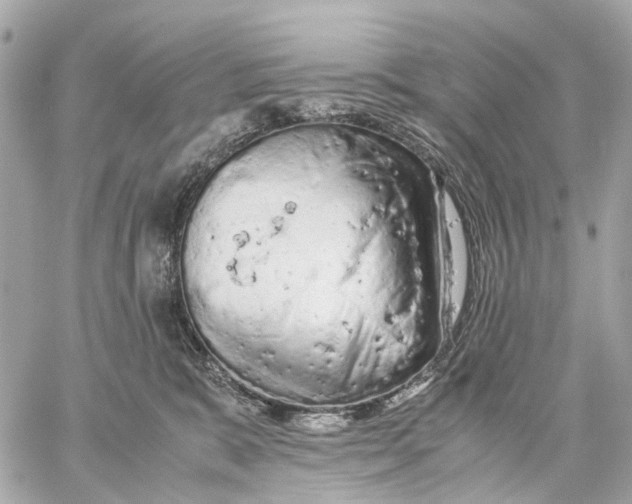 X0000059250327200511041340