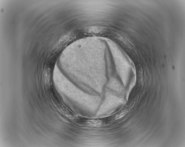 X0000059250328200511041340