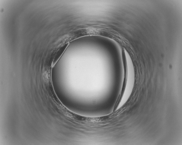 X0000059250329200511041340