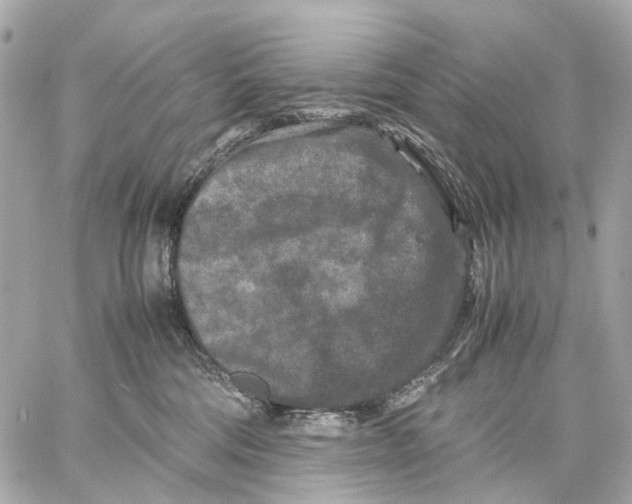 X0000059250330200511041340