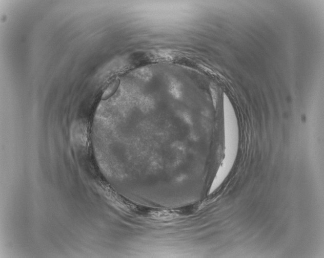 X0000059250331200511041340