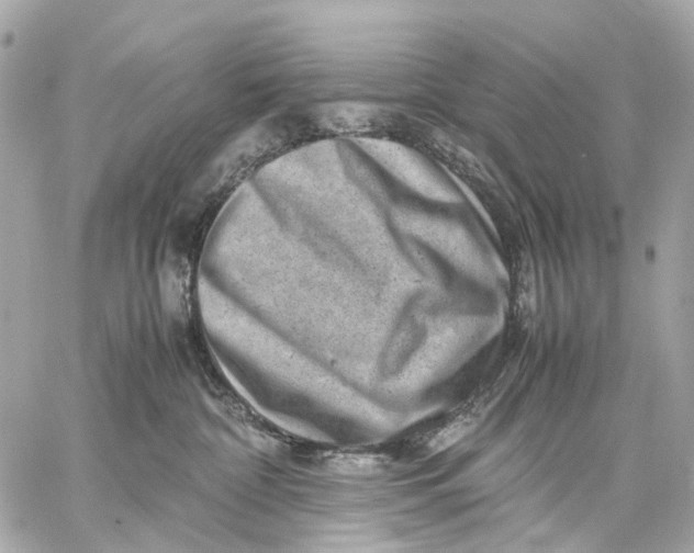 X0000059250332200511041340