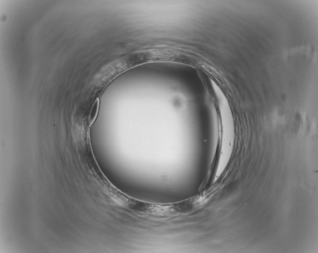 X0000059250333200511041340