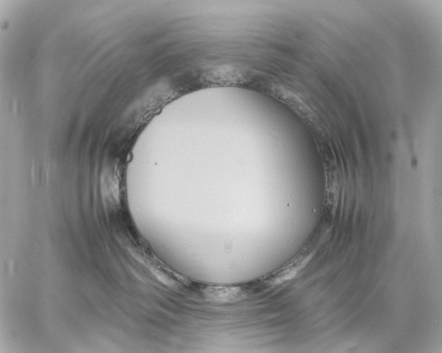 X0000059250334200511041340