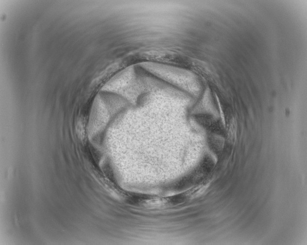 X0000059250335200511041340