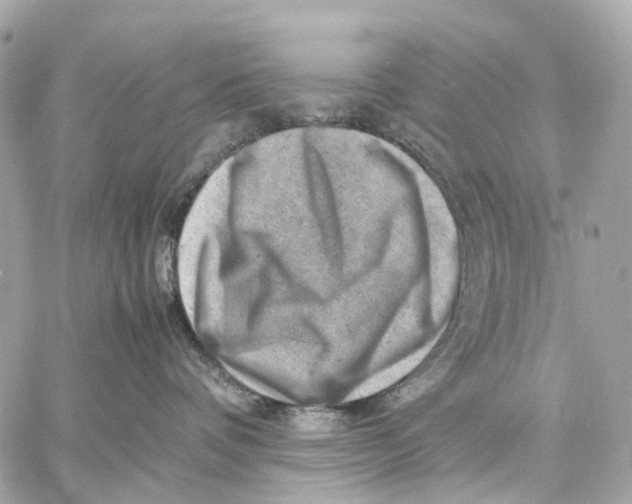 X0000059250336200511041340