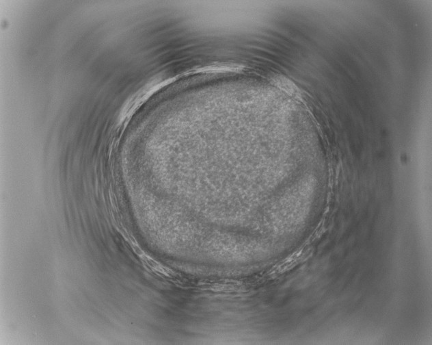 X0000059250337200511041339