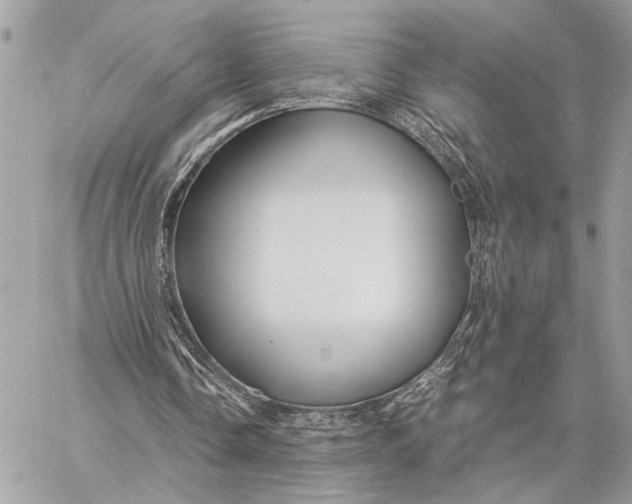 X0000059250338200511041339