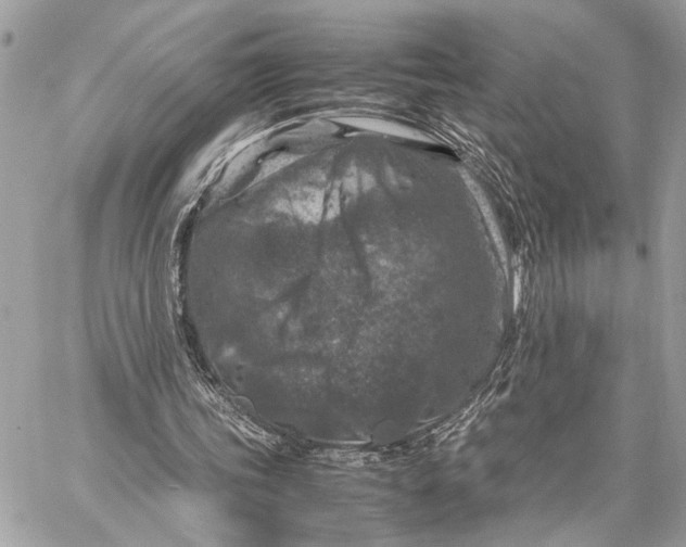 X0000059250339200511041339