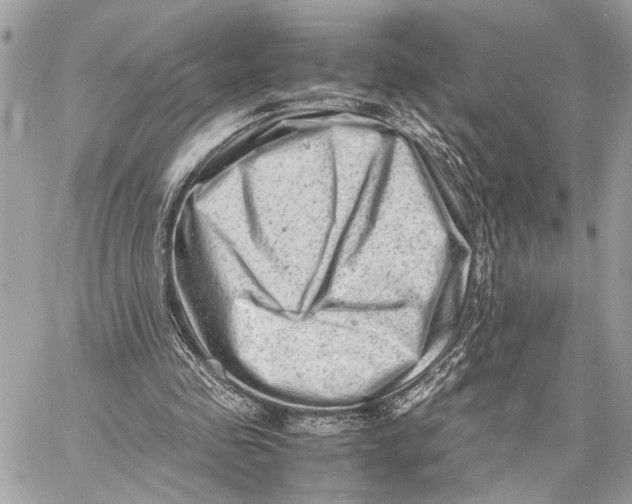 X0000059250341200511041339