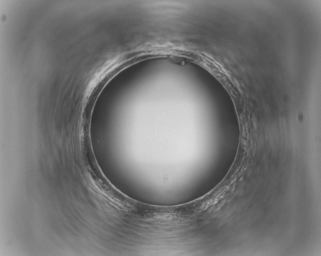 X0000059250344200511041339