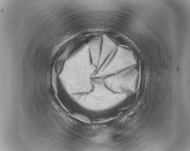 X0000059250345200511041339