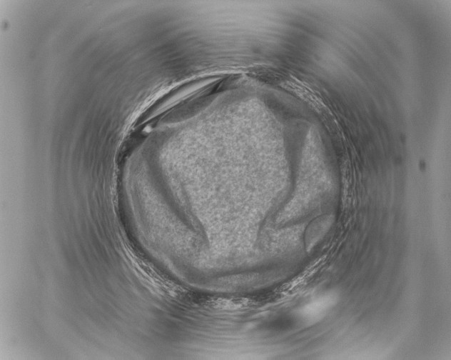 X0000059250346200511041339