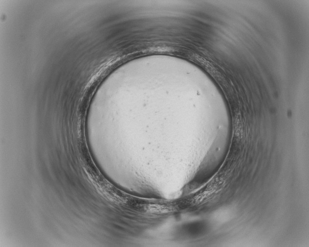 X0000059250347200511041339