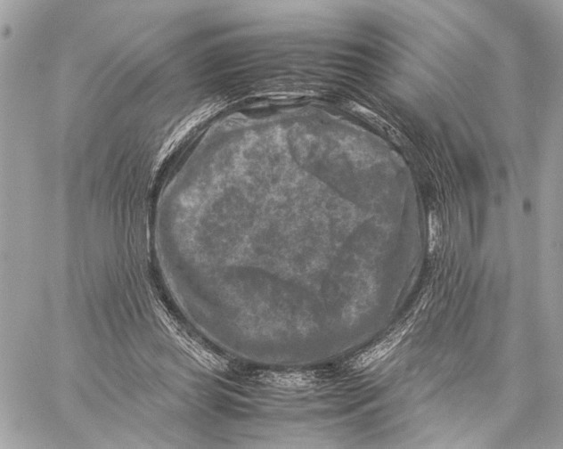 X0000059250349200511041339