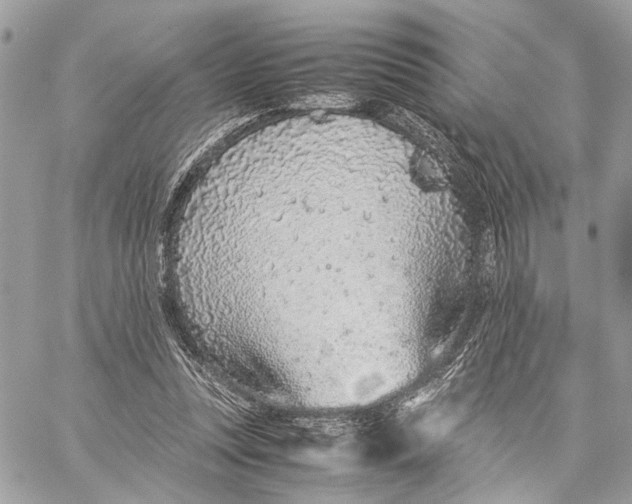 X0000059250351200511041340