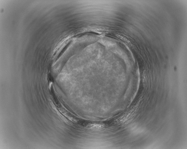 X0000059250352200511041340