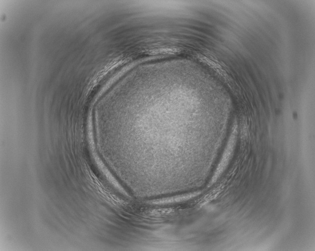 X0000059250353200511041340