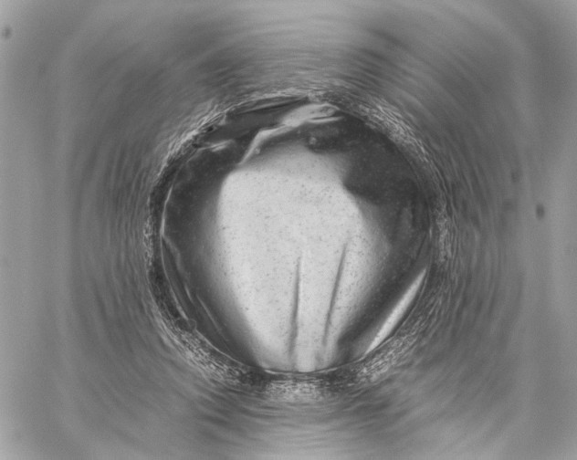 X0000059250354200511041340