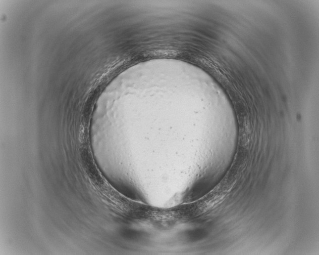 X0000059250355200511041340