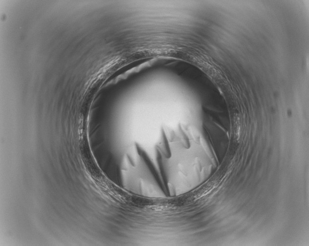 X0000059250356200511041340