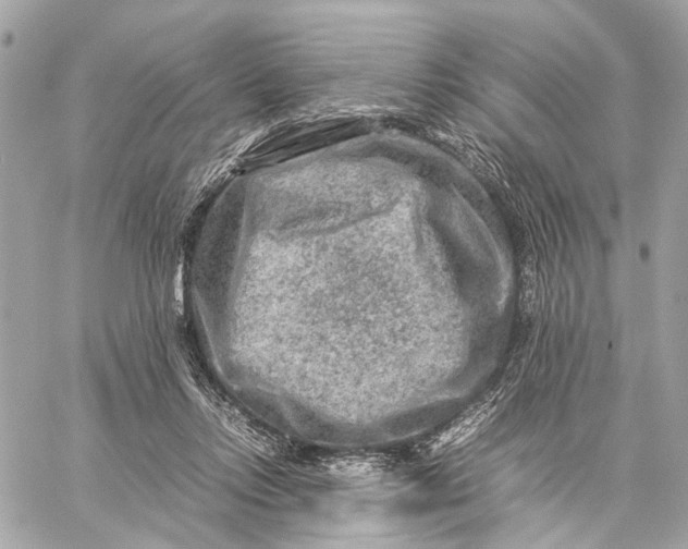 X0000059250358200511041340