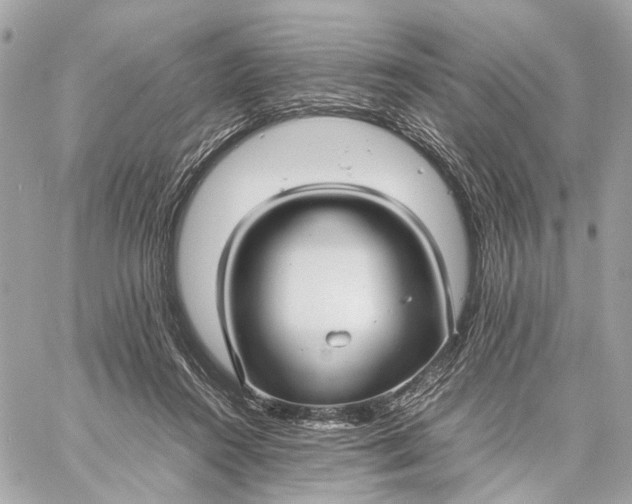 X0000059250360200511041340