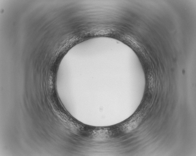 X0000059250362200511041340