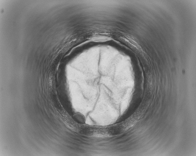 X0000059250363200511041340