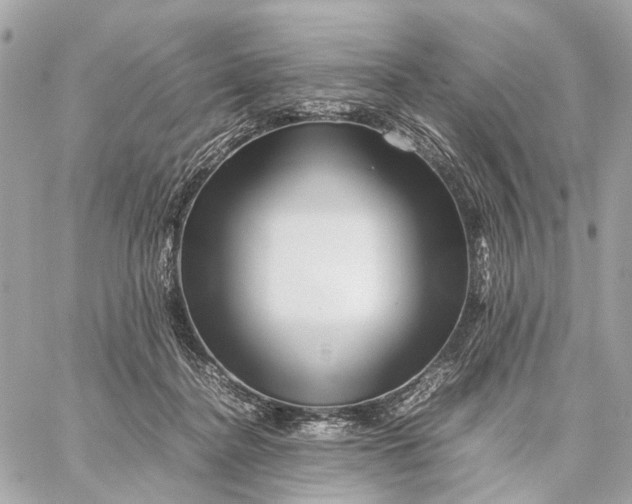 X0000059250364200511041340