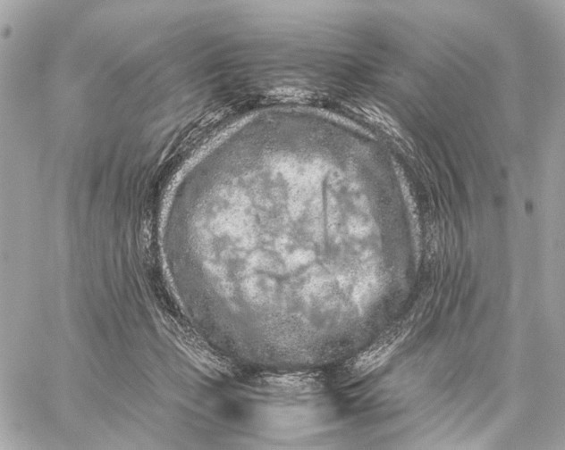 X0000059250365200511041340