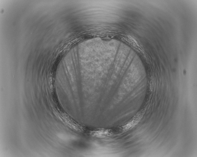 X0000059250366200511041340