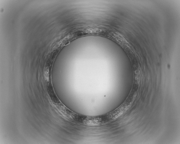 X0000059250368200511041340