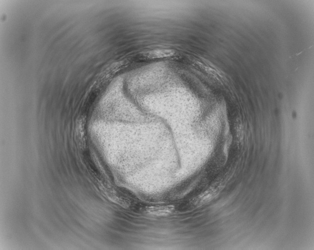 X0000059250373200511041340