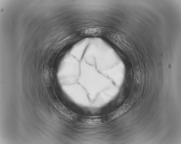 X0000059250375200511041340