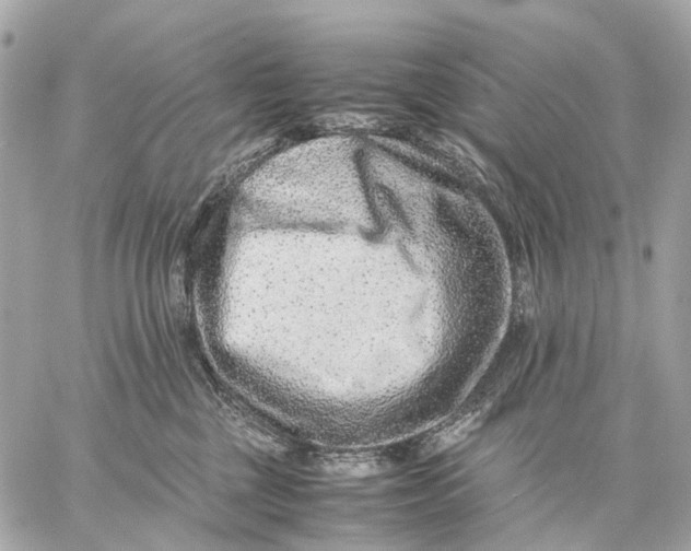 X0000059250377200511041340