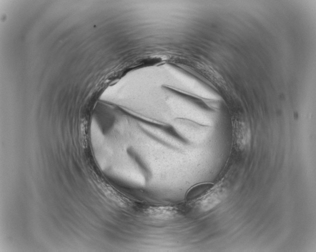 X0000059250378200511041340