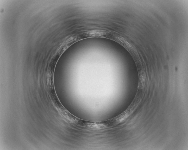 X0000059250379200511041340