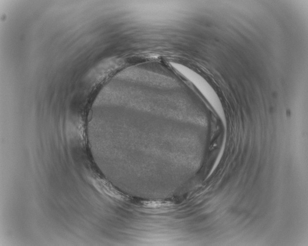 X0000059250380200511041340