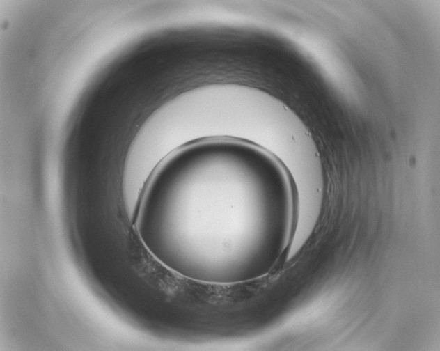 X0000059250383200511041340