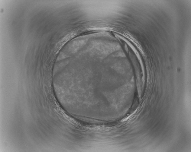 X0000059250385200511041339