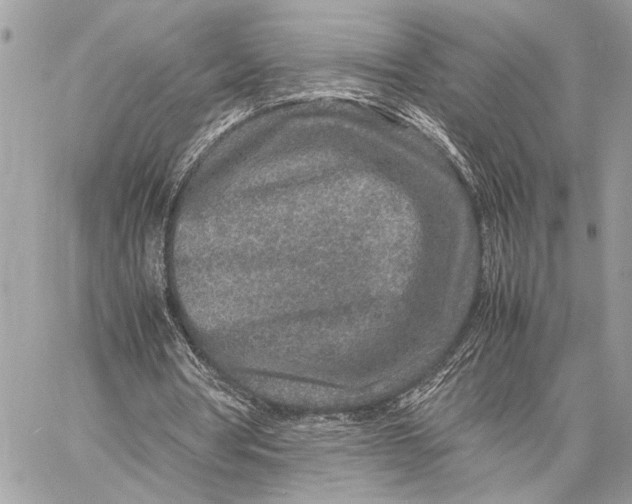 X0000059250386200511041339