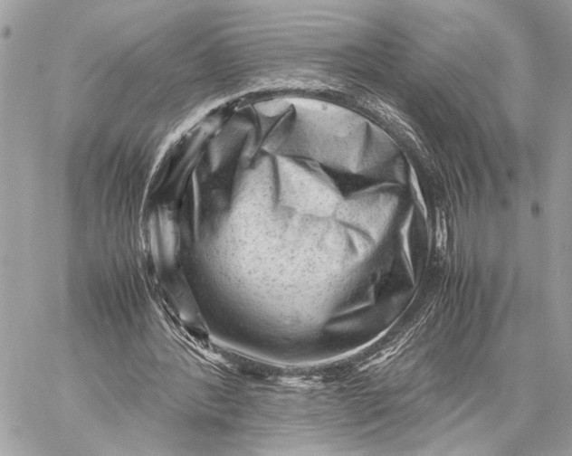 X0000059250388200511041339