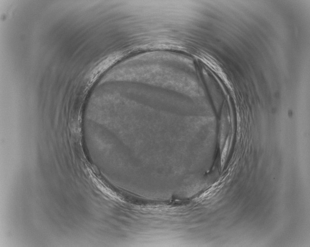 X0000059250389200511041339