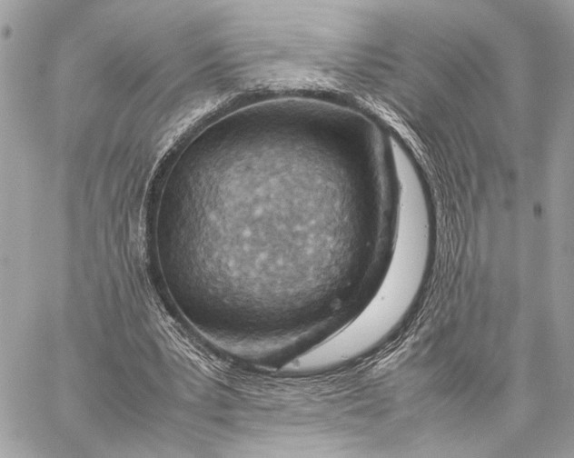 X0000059250391200511041339