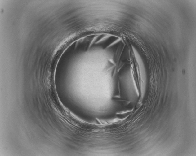 X0000059250392200511041339