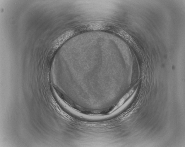 X0000059250393200511041339