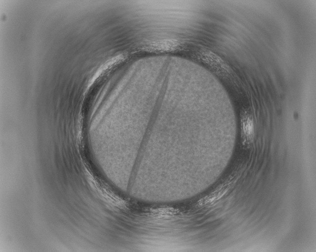 X0000059250396200511041339